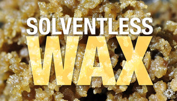SOLVENTLESS CONCENTRATES ADVANTAGES