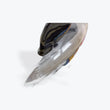 Load image into Gallery viewer, Chadd Lacy Orca w/ Moodmat - angle view
